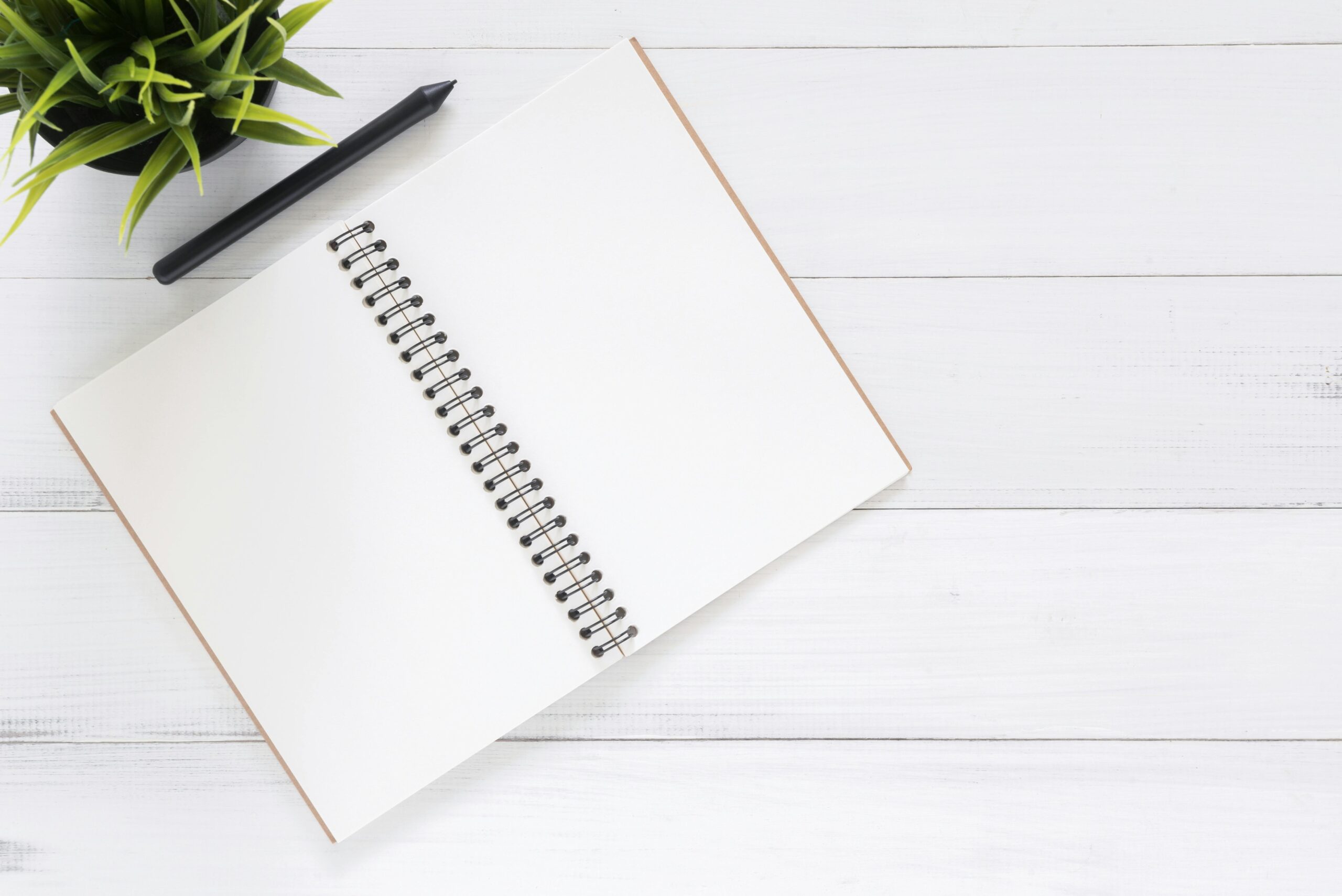 Notebook and pen